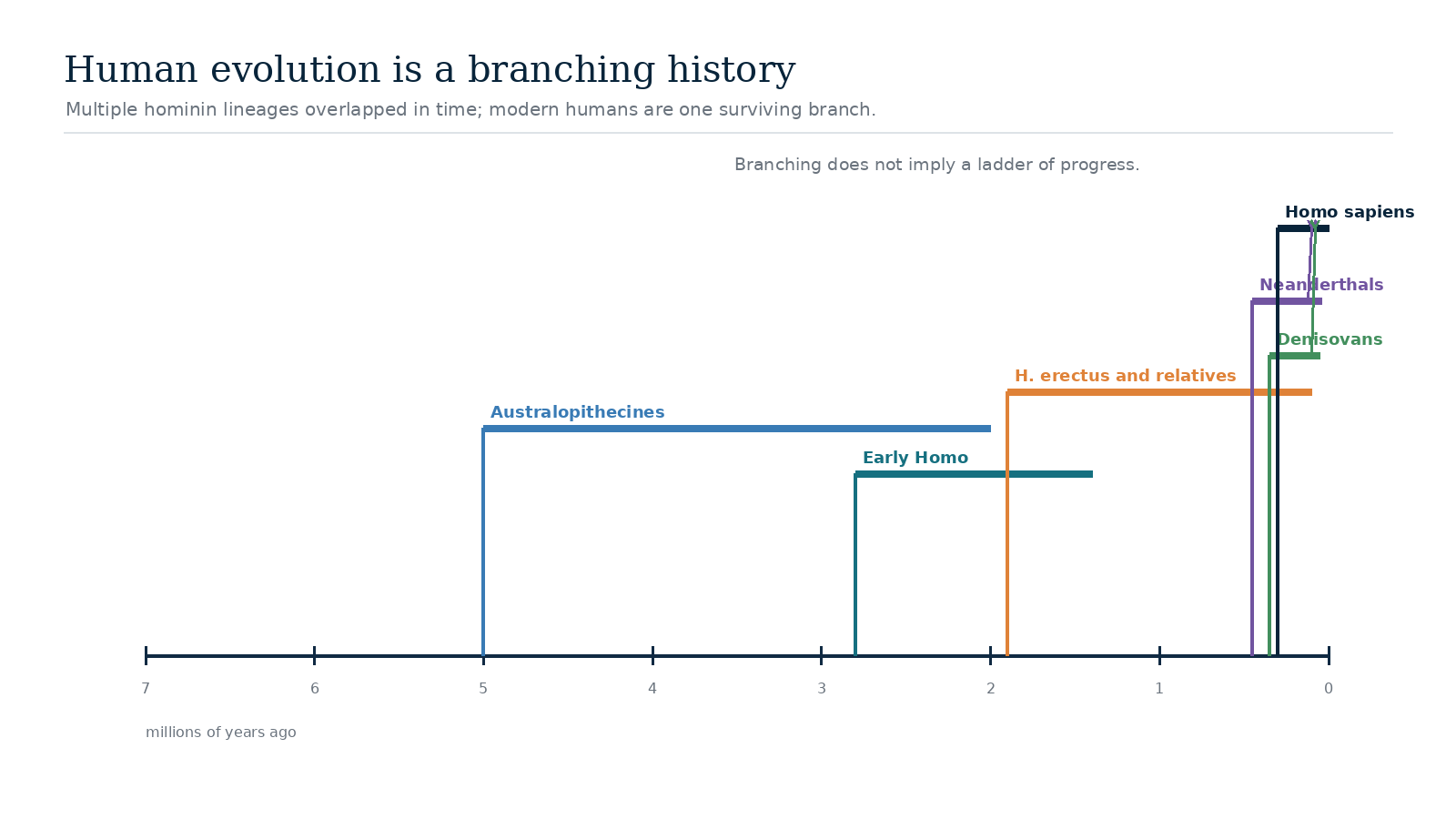 Branching timeline illustrating overlapping hominin lineages rather than a single linear progression.