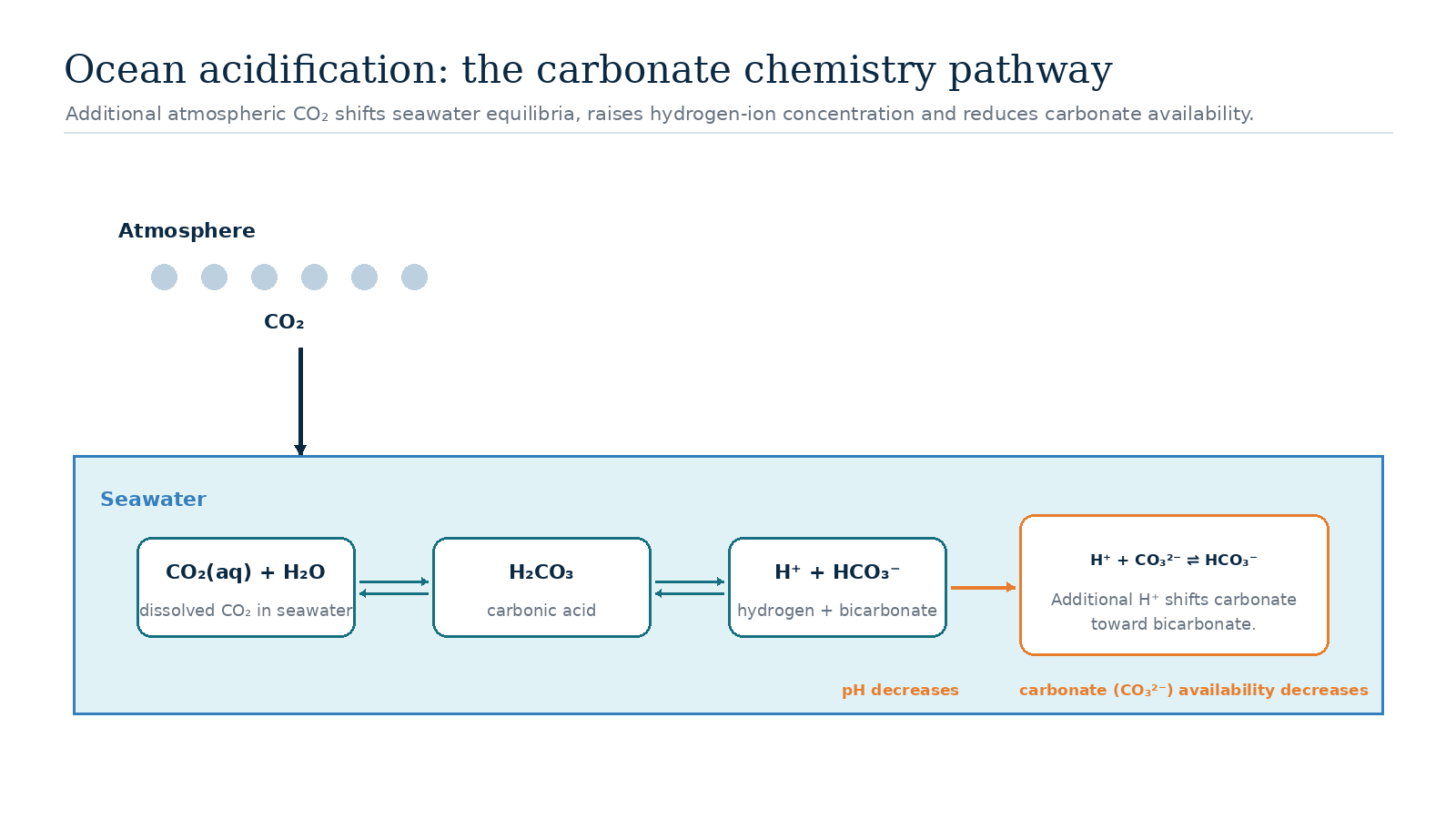 Diagram showing atmospheric carbon dioxide dissolving into seawater, increasing hydrogen ions and reducing carbonate availability.
