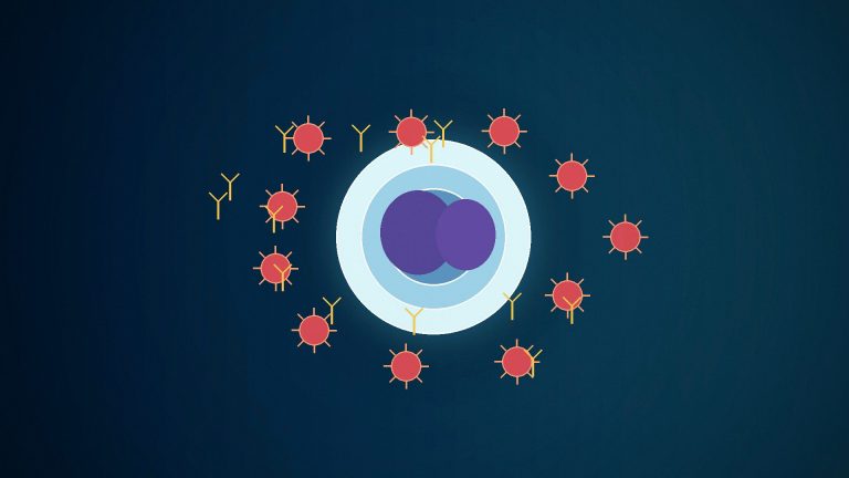 Editorial illustration of an immune cell surrounded by pathogens and antibody-like molecules.
