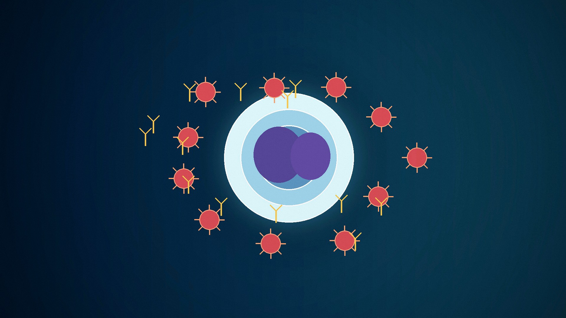 How the Immune System Recognizes Pathogens