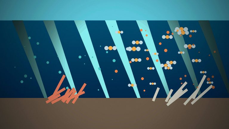 Editorial ocean scene representing changing seawater chemistry and its effects on marine habitats.